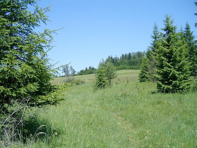 20120616 038.jpg